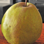 Круша Деведжи