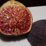 Смокиня Василика