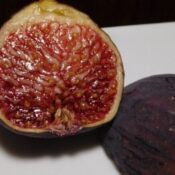 Смокиня Василика