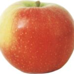 ябълка Карастоянка