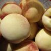 Бяла Праскова - 4,7 л в саксия
