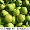 ябълка сорт грени смит в контейнер